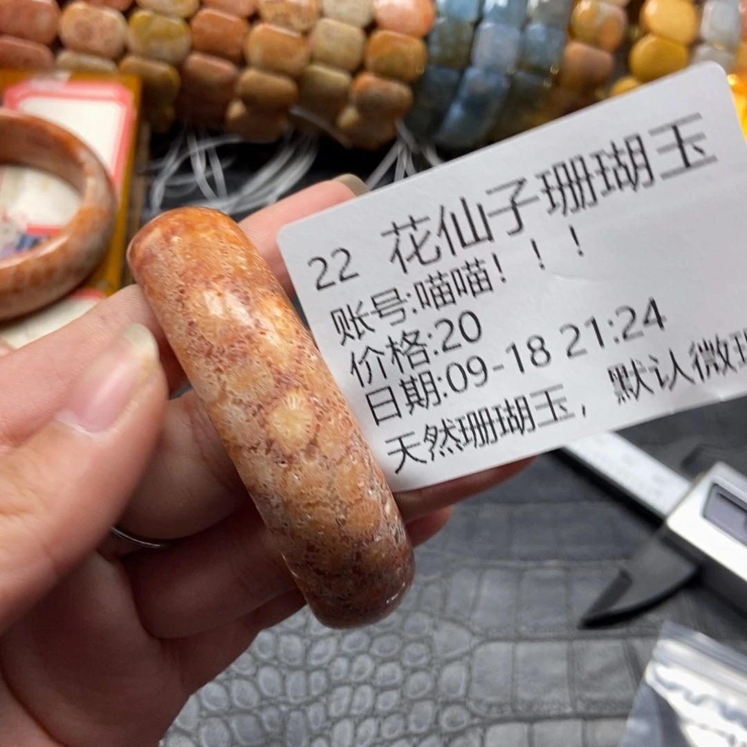 喵***！未镶嵌硅化珊瑚（珊瑚玉）珠宝半成品22