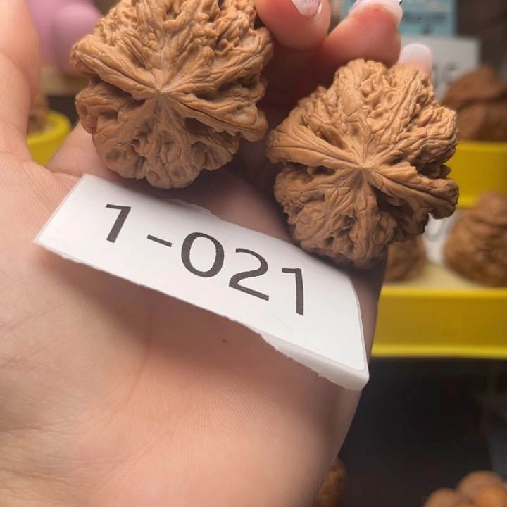 文玩核桃把件43全品粗筋1021