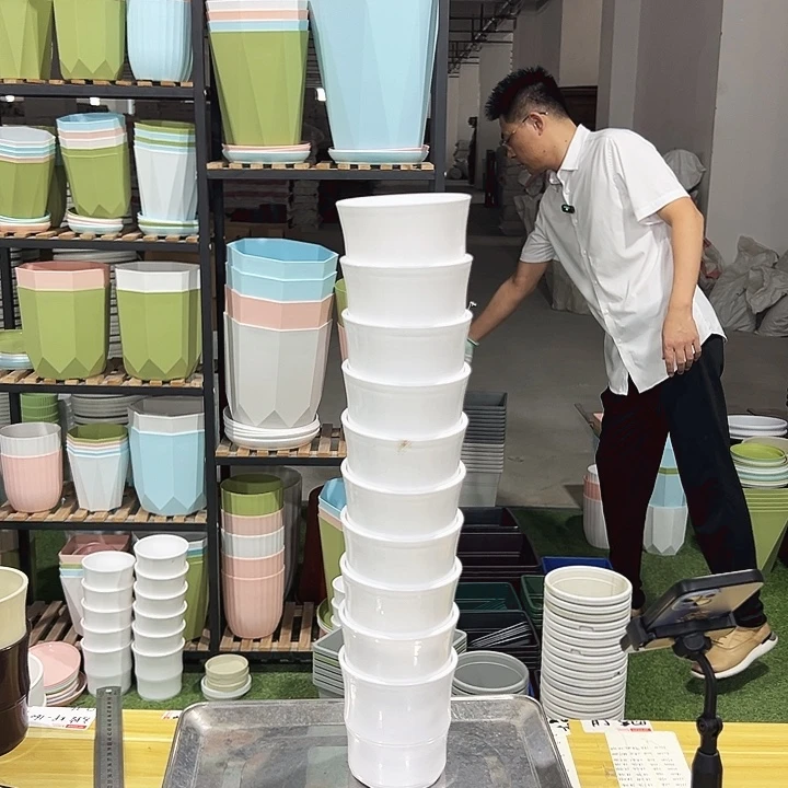 竹节口10高10白色10只无托