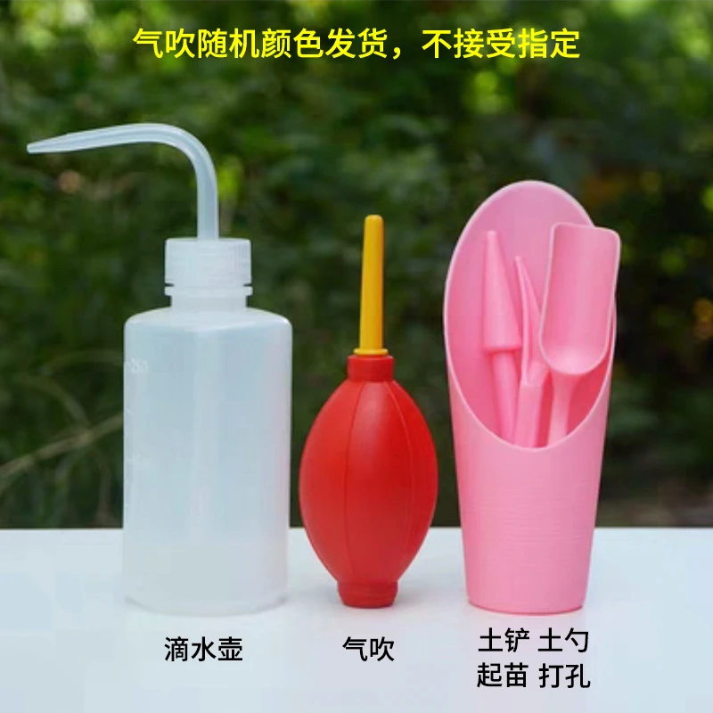 【6件套】园艺工具组合套装多肉搭配移苗器起苗器桶铲土毛刷气吹