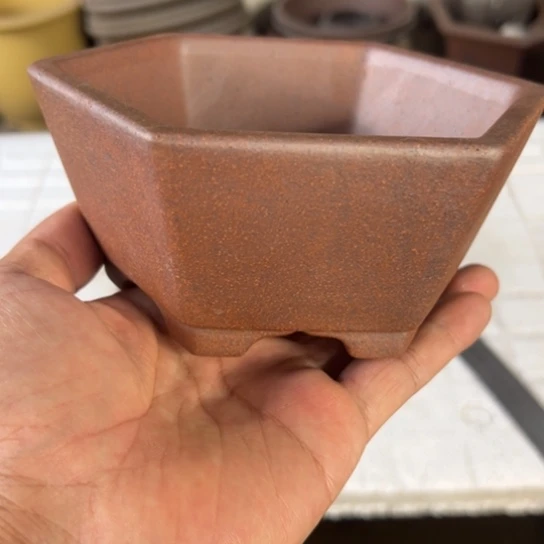 【闪购商品】内扣12内高5
