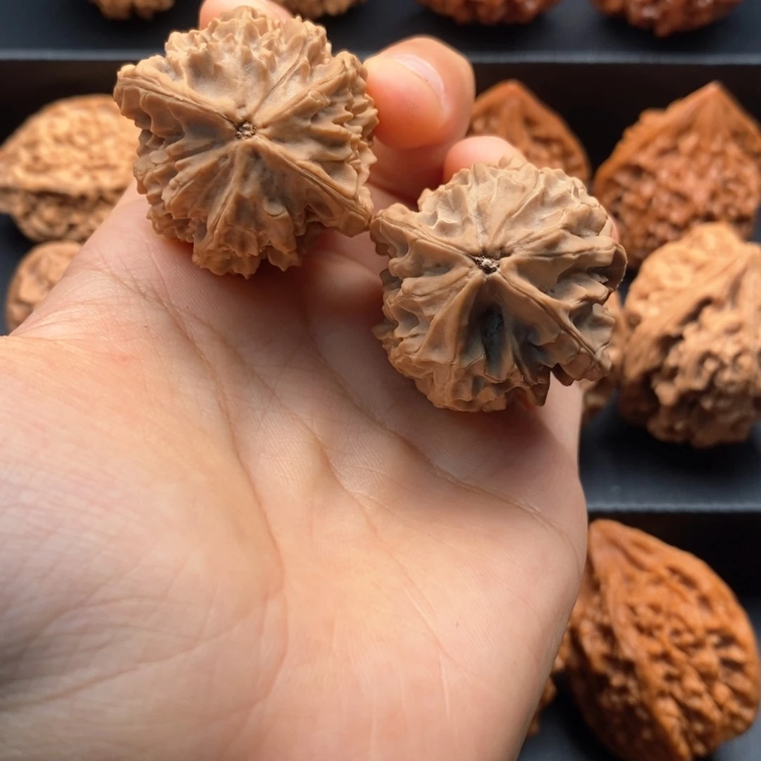 把件文玩核桃玩****度秦岭文玩核桃