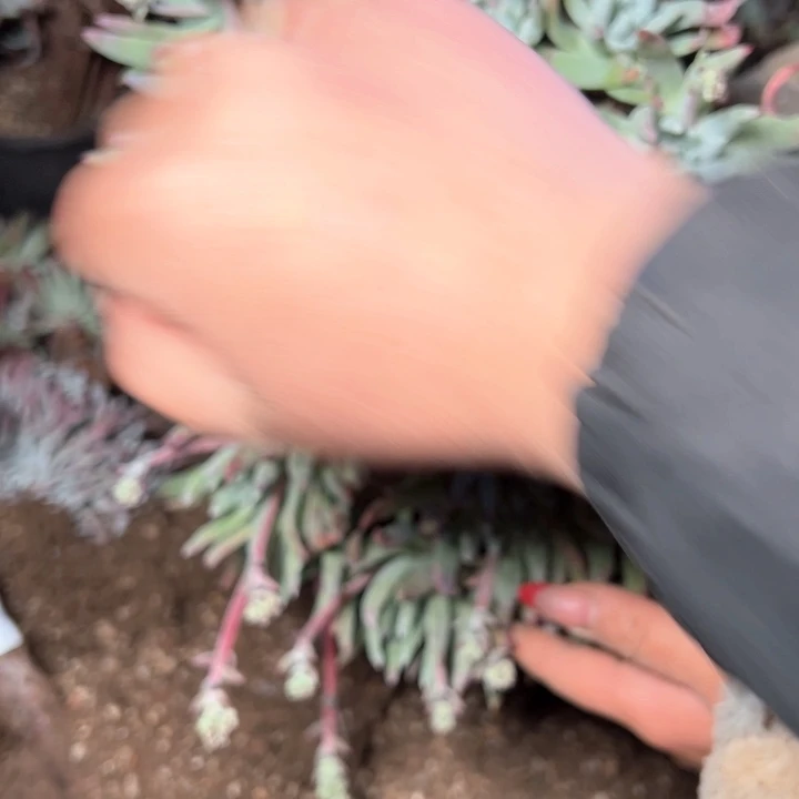 立**…1411哈哈哈哈哈哈哈哈