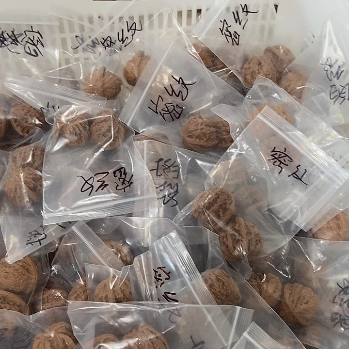 吊坠文玩核桃密纹