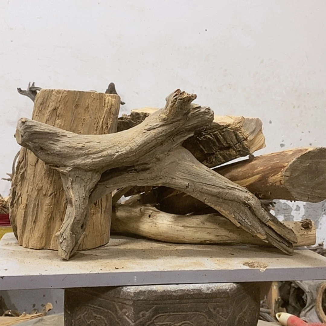 【闪购商品】柏木憨***猪我们都是好孩子