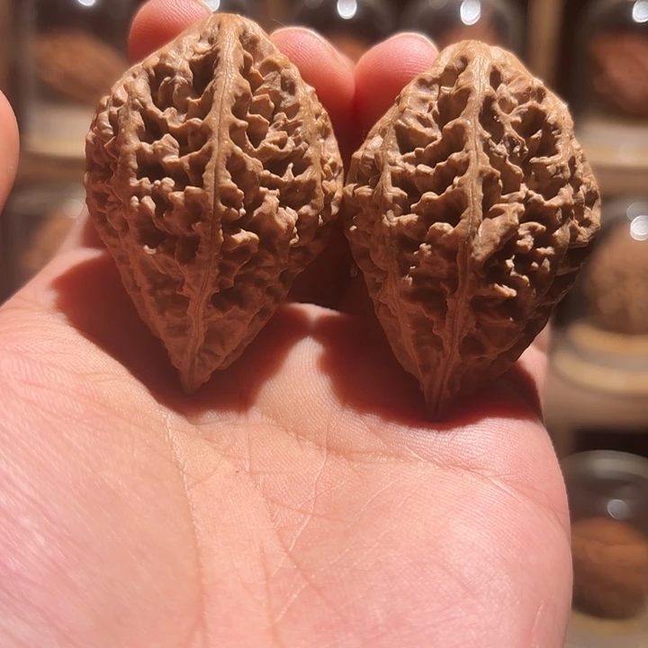 把件文玩核桃梅花刺