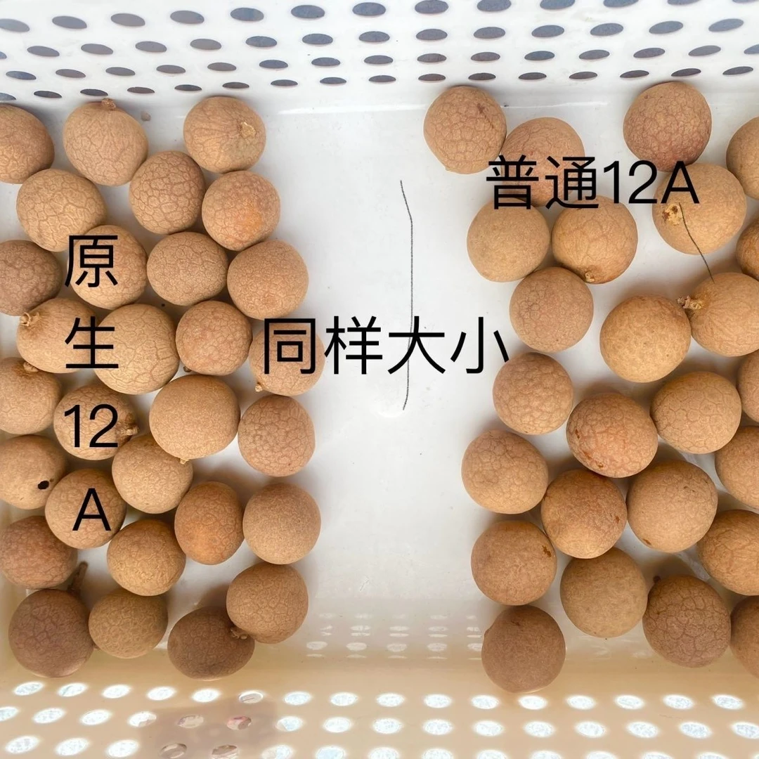 进口纯天然晒干原生桂圆干12A直径22mm以上