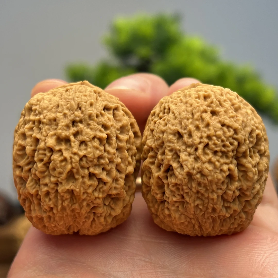 37mm炮弹石-云南铁核桃一物一图产地直发