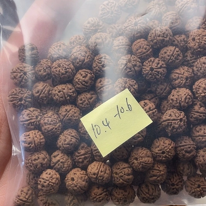 十***雨金刚菩提吊坠老树王黄头籽10.4-10.6尺寸