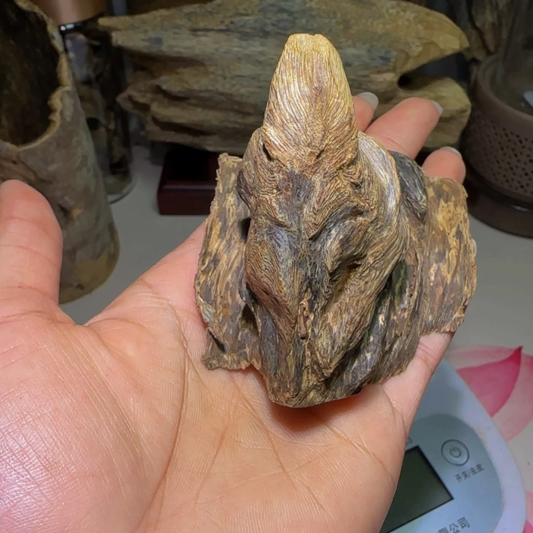 沉香沉香碎屑沉香奇楠天然野生熟结老料25克