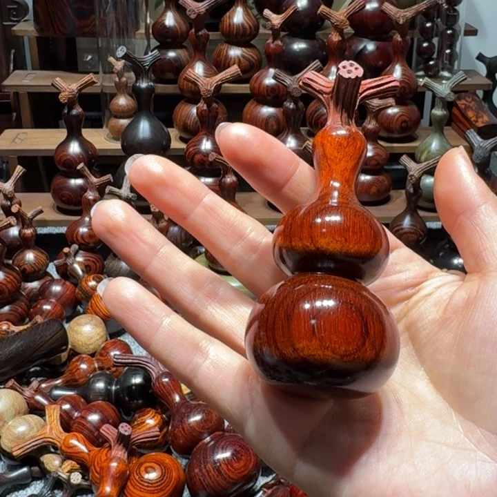 木七*。东非小叶葫芦葫芦