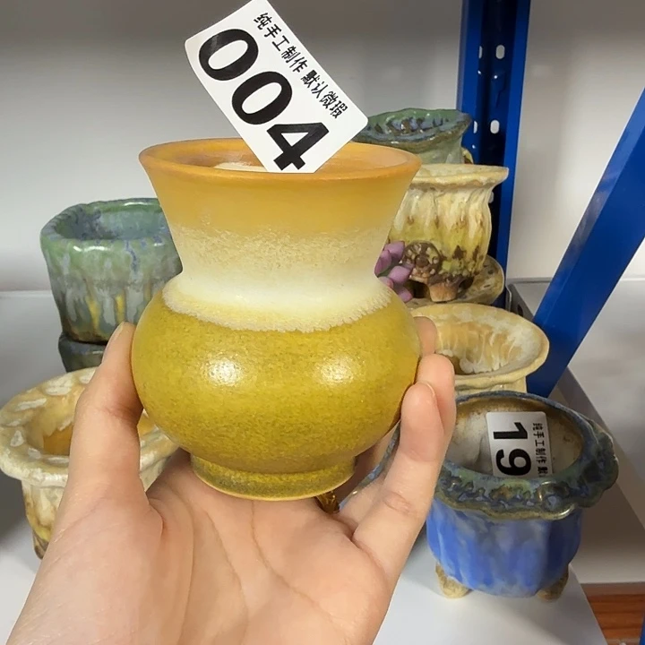 景德镇陶瓷盆 满30包邮 口6