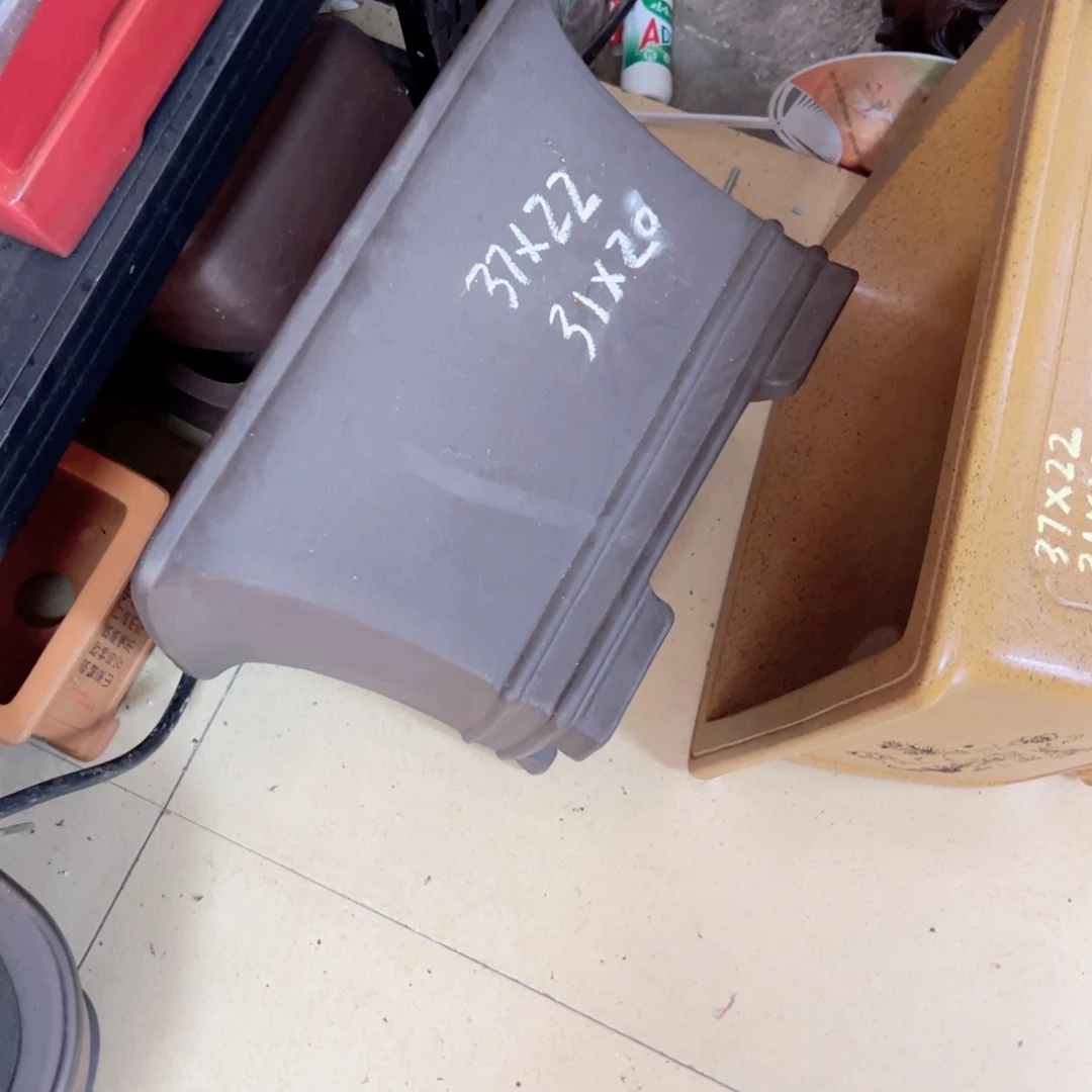 黑***虹紫砂花盆呜呜呜呜呜我