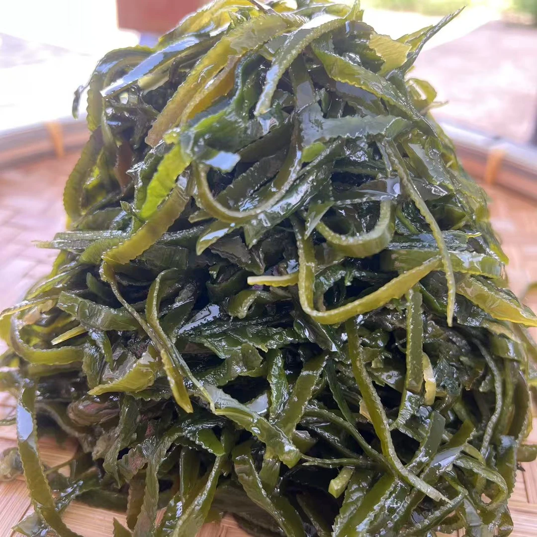 【大连金石滩】新鲜盐渍海带丝美味营养可用于凉拌煲汤火锅