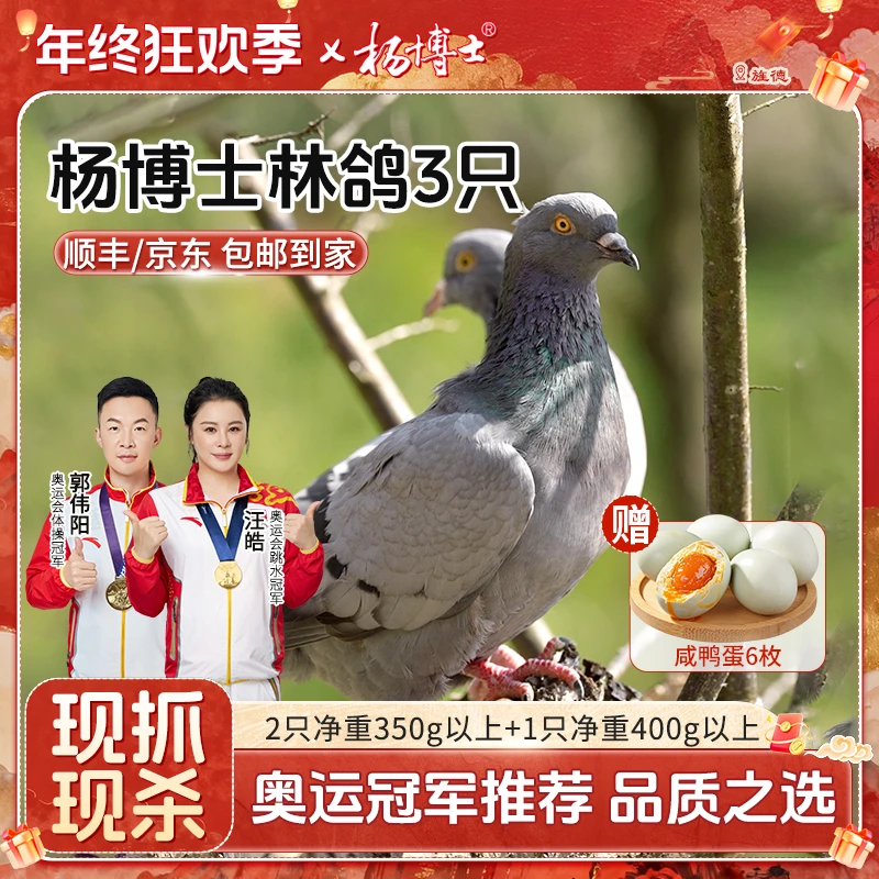 杨博士【皖南林鸽】山林王鸽原生态散养低脂高蛋白营养丰富新鲜现杀