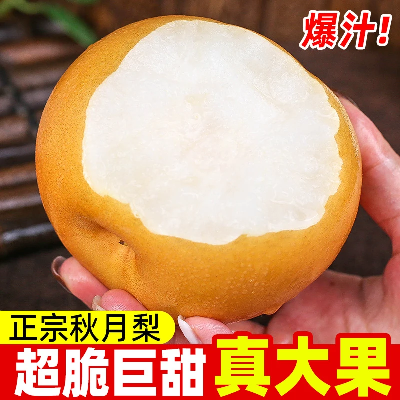 正宗山东秋月梨莱西莱阳新鲜当季水果脆甜多汁梨子包邮