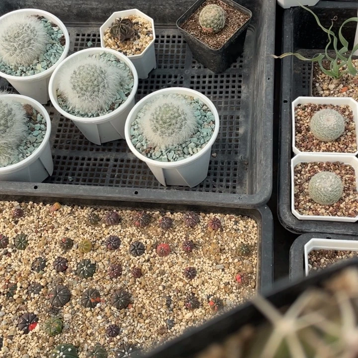 浮***光00000000000000000