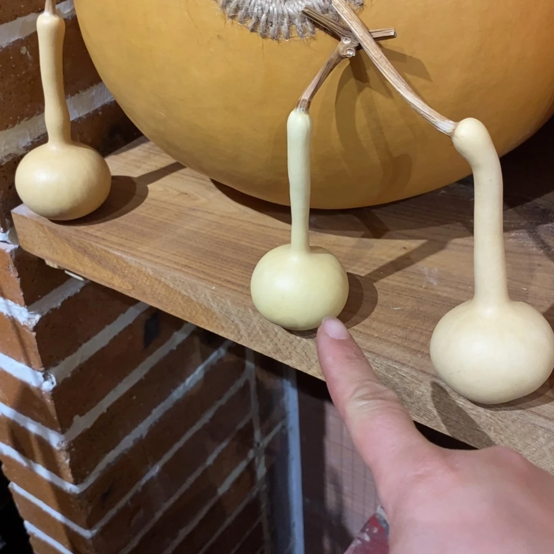 完*葫芦葫芦葫芦葫芦