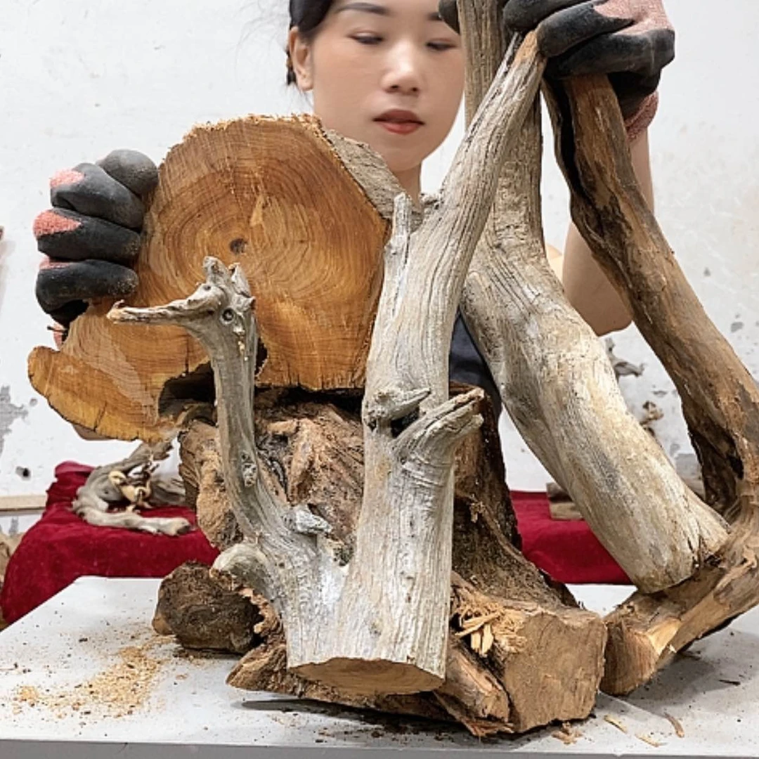 【闪购商品】柏木√我们都是好孩子