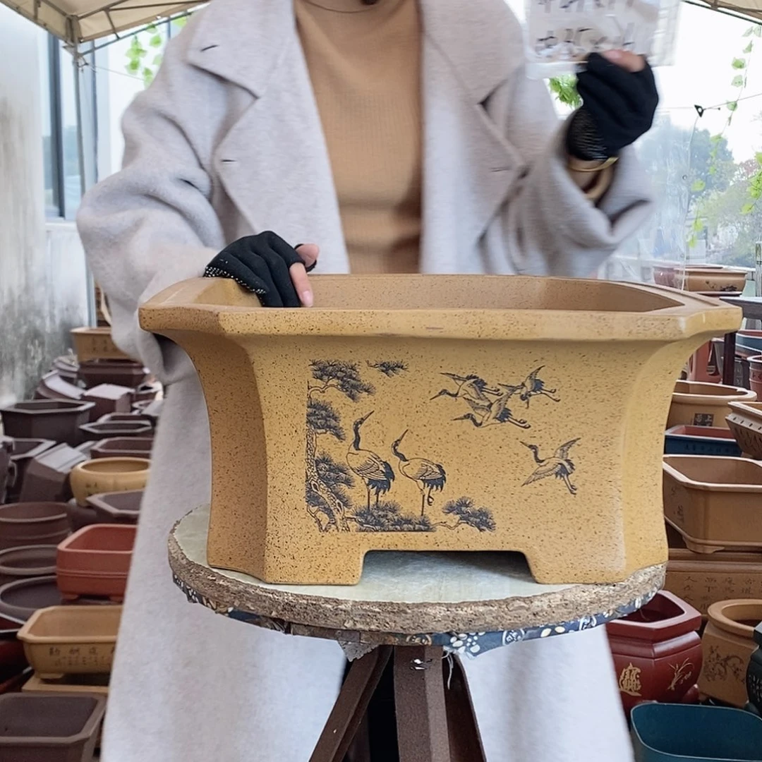 紫砂花盆紫砂花盆