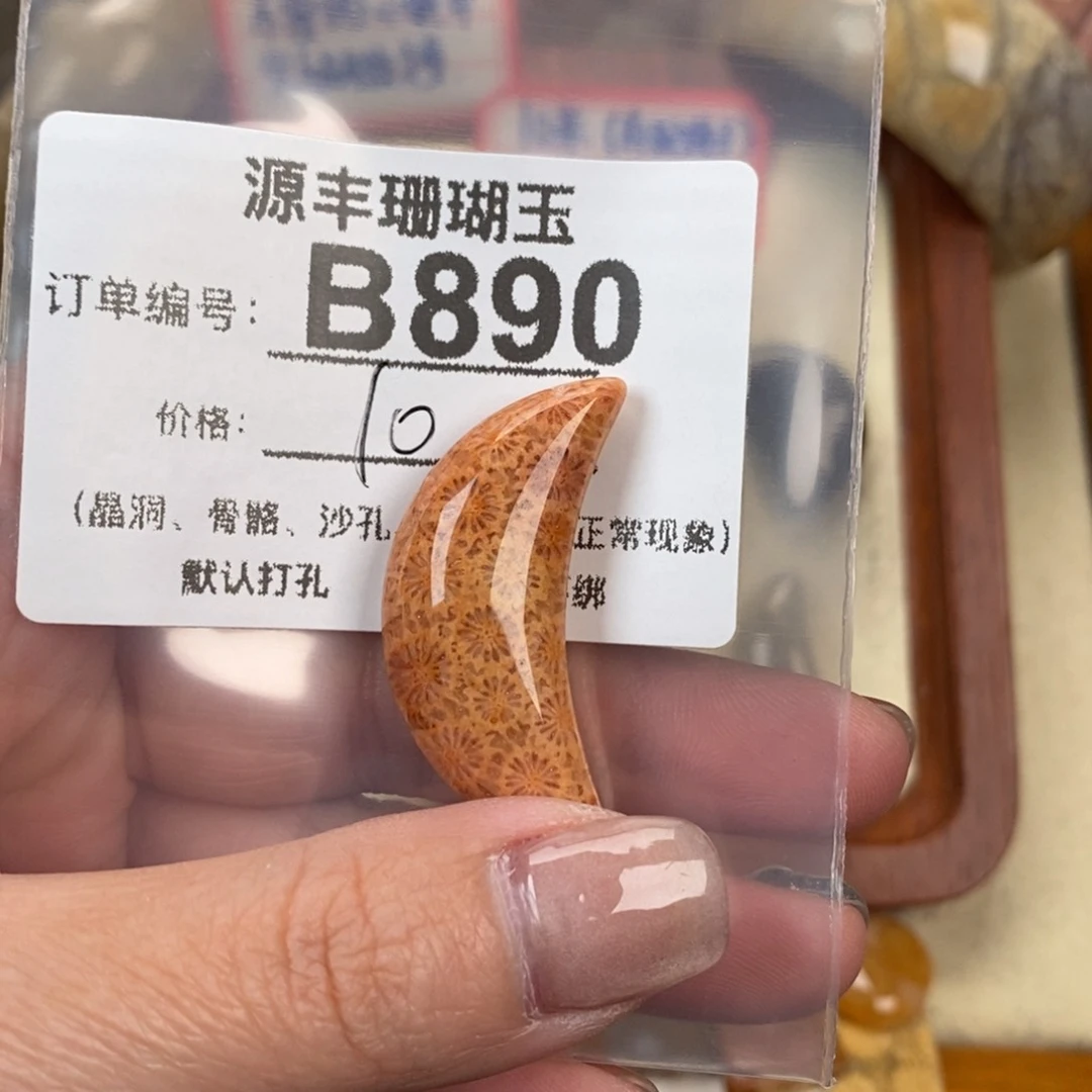 硅化玉颈饰未镶嵌《**》