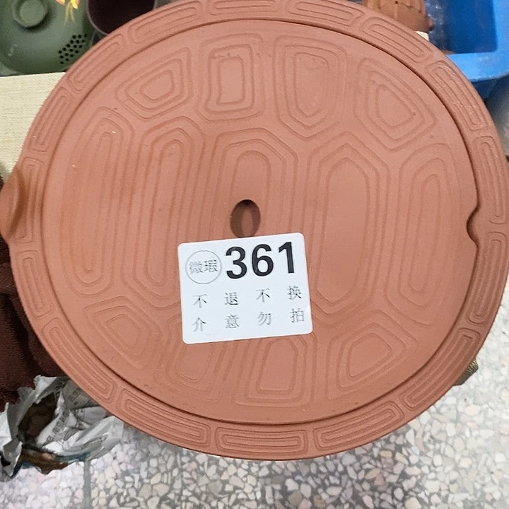 紫砂紫砂紫砂紫砂紫砂紫砂