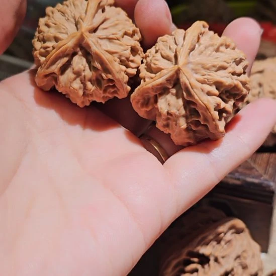 鹏***飞吊坠文玩核桃38三楞