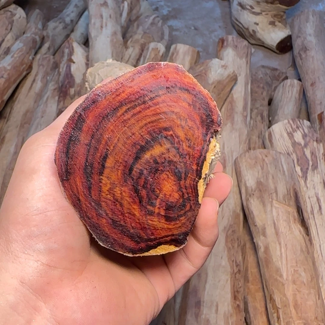 雪***声黄花梨/降香黄檀海南黄花梨