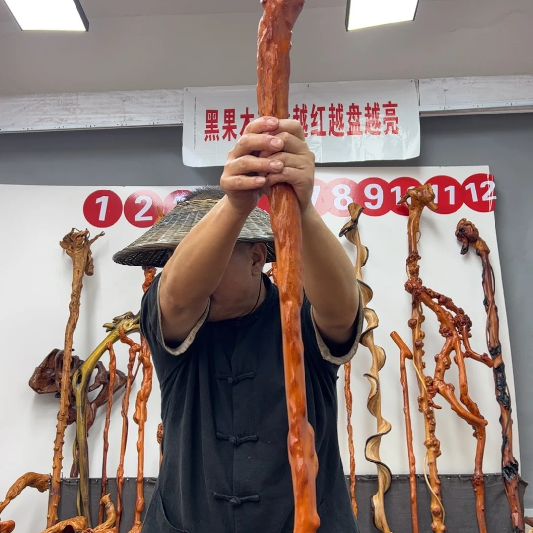 寒***良黑果木其他黑果木500