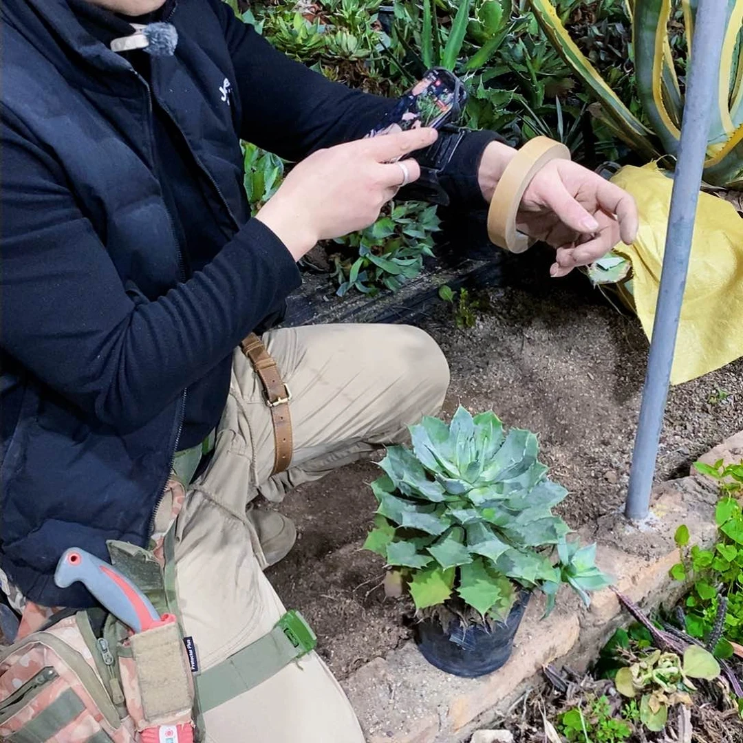 赵****园雷神甲蟹一颗一物一拍9800