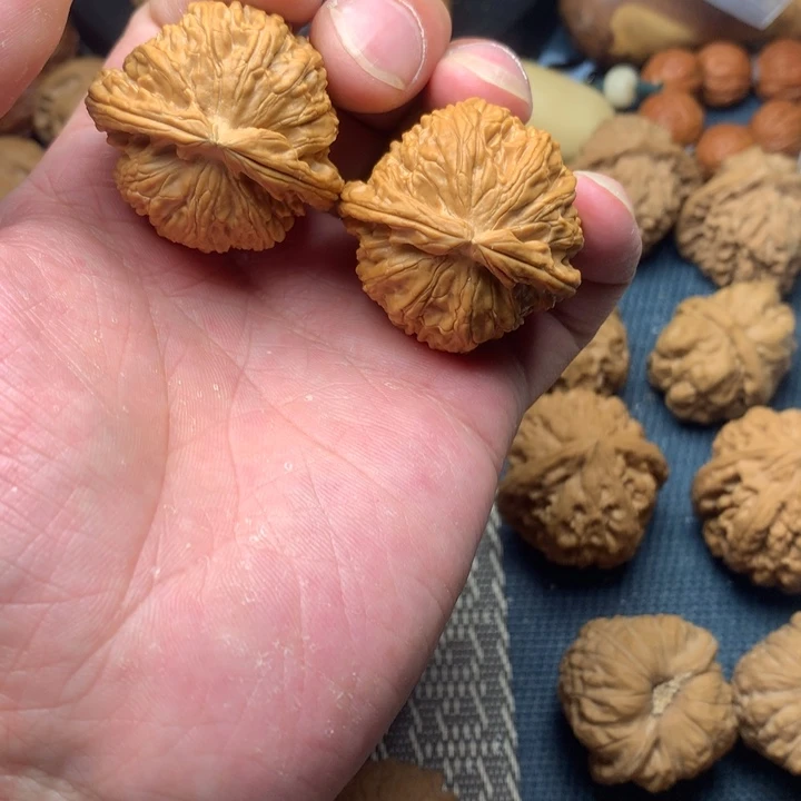 核桃手串/手链38全品白狮子