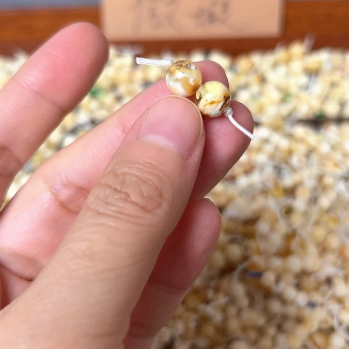 蜜蜡未镶嵌裸石7.7mm一对