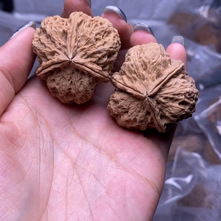 核桃云南野生铁核桃15号38mm