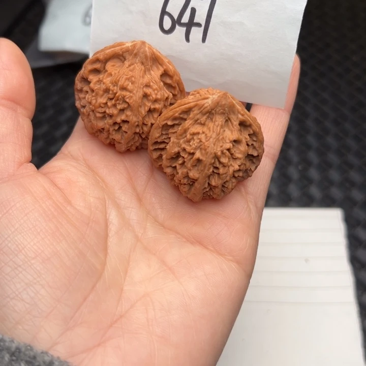 核桃38尺寸福利款满天星