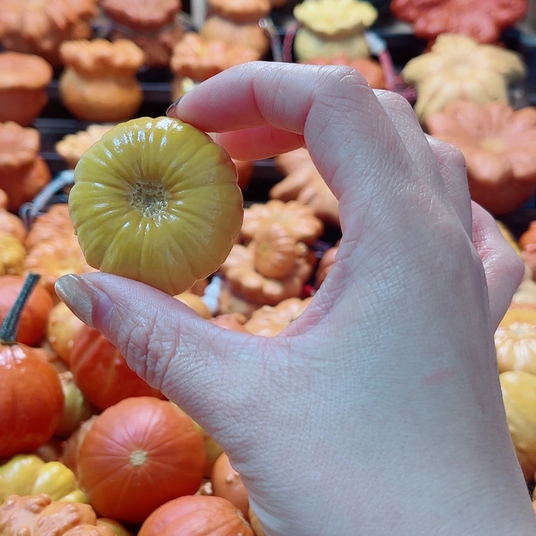 *****大叶紫檀（黑酸枝木类）