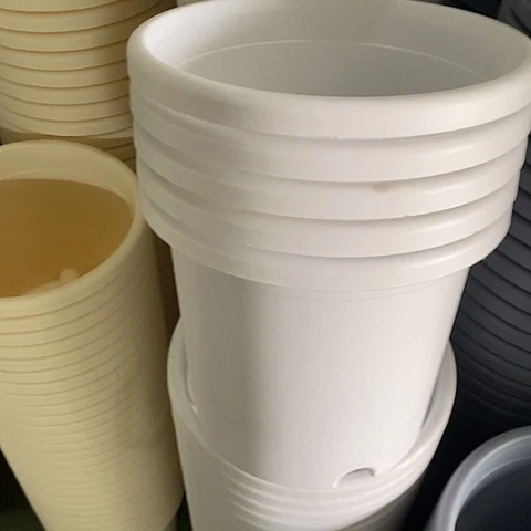 树脂四季4号5个无托白