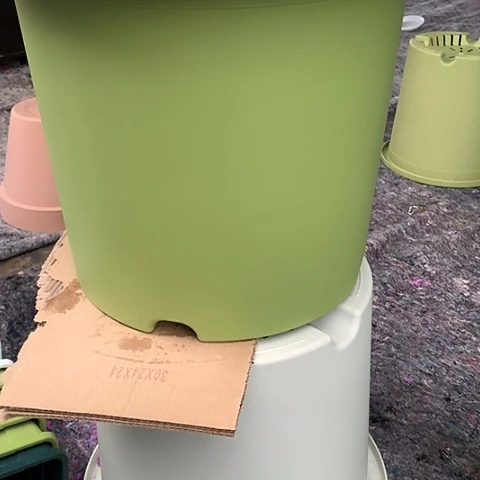 树脂15加果绿无托2个