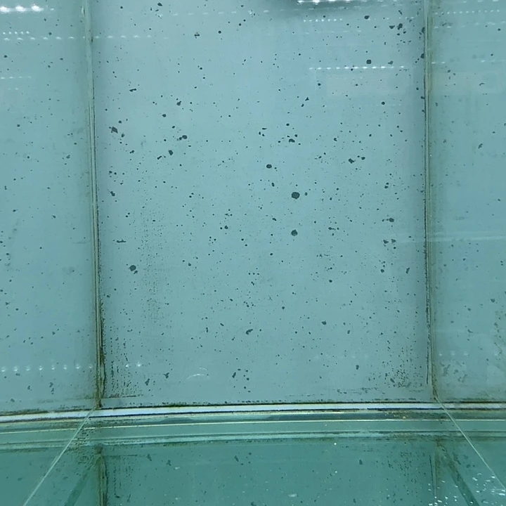 霓虹灯鱼嗯哈塔mc1048。