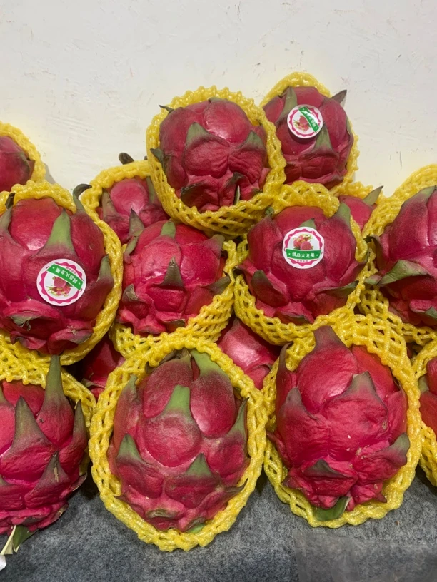 10元3个精品红心火龙50规格