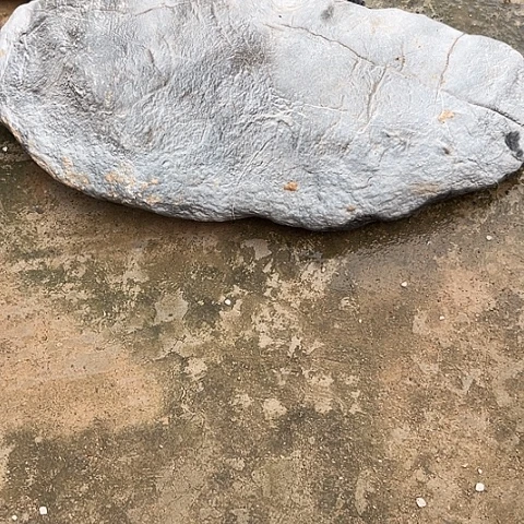 无花朵我**石家居装修效果图