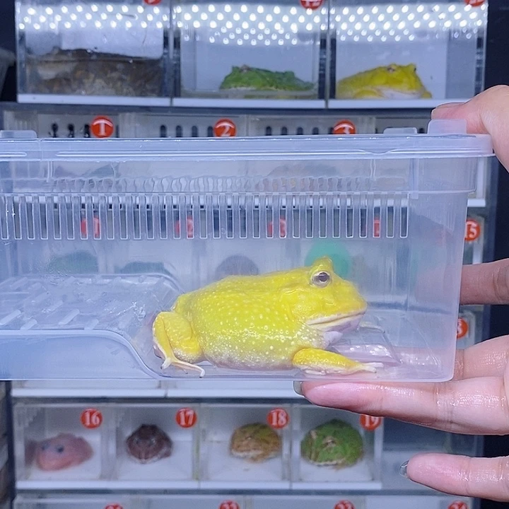特价秒杀现货特价