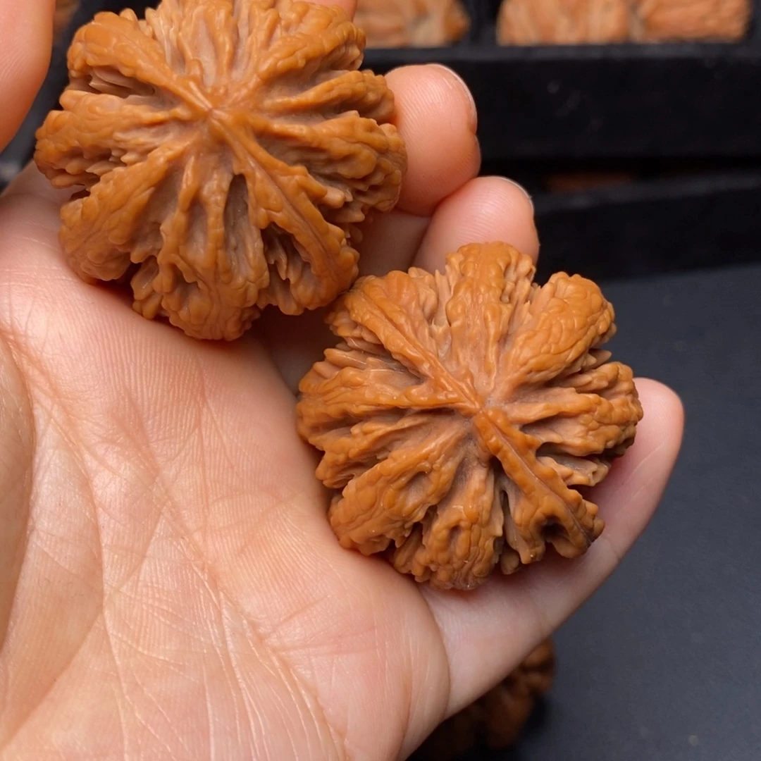 文玩核桃把件秦岭野生核桃