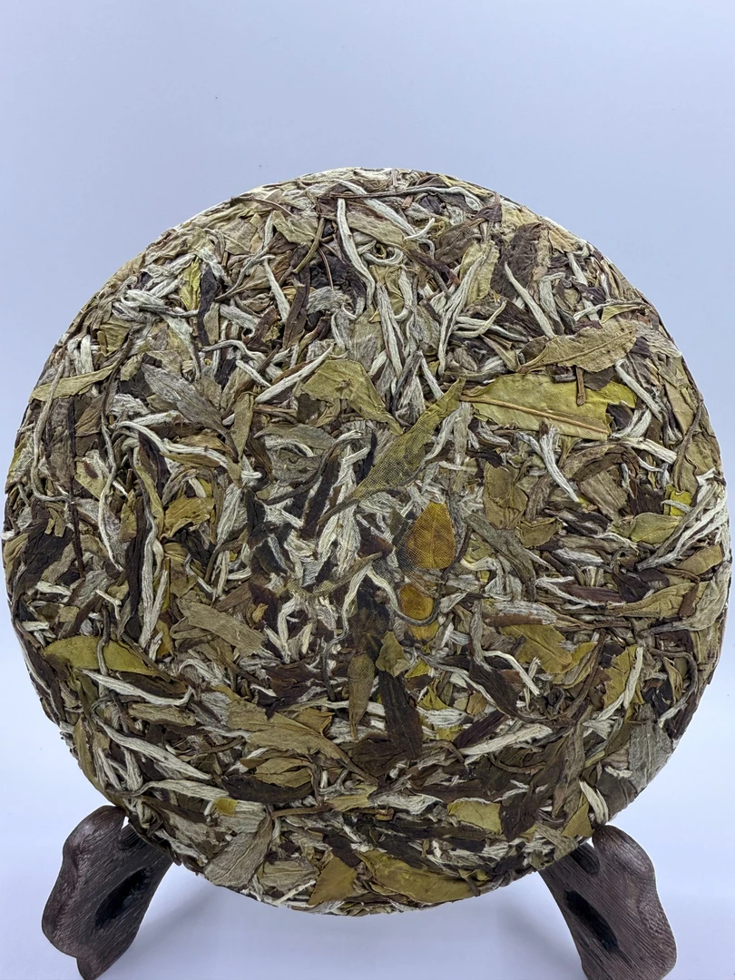 2022年花香白牡丹