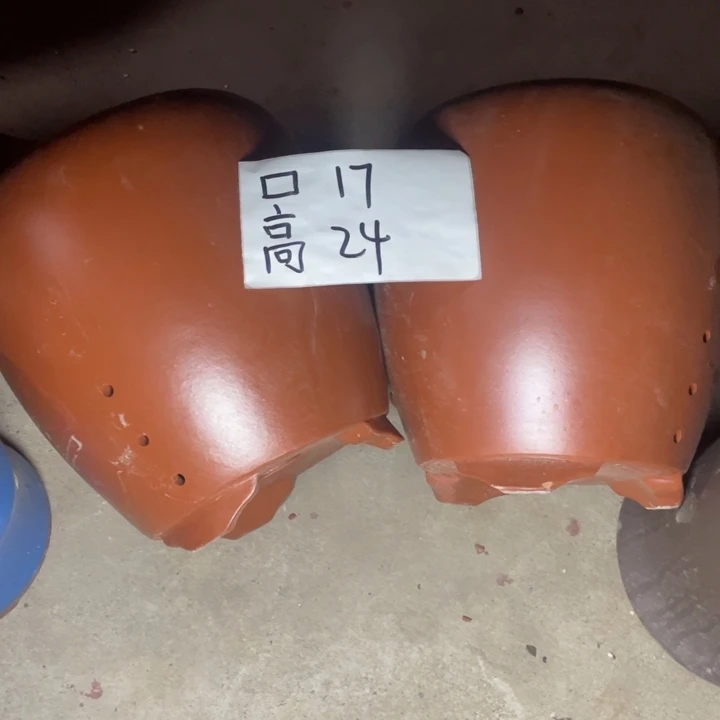 周深周深周深周深周深周深
