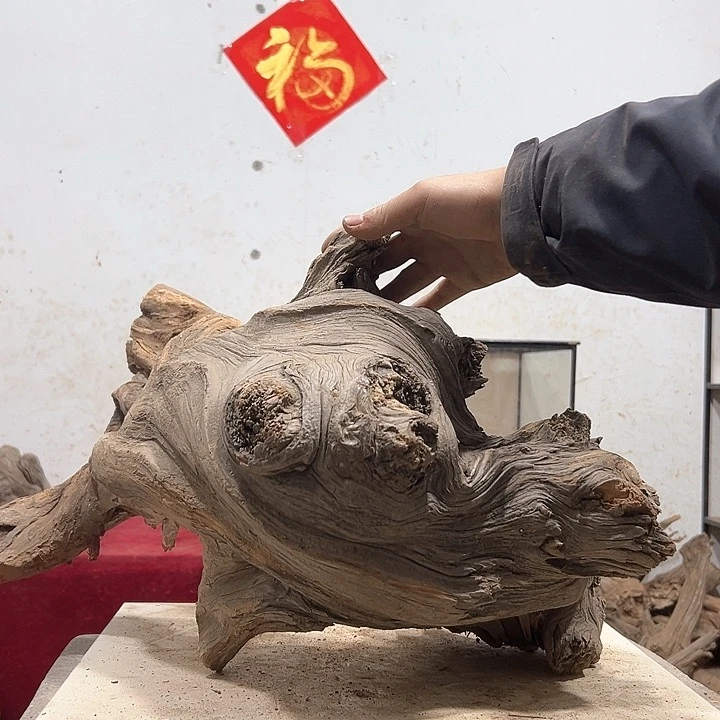 柏木长*波我们都是好孩子呀我