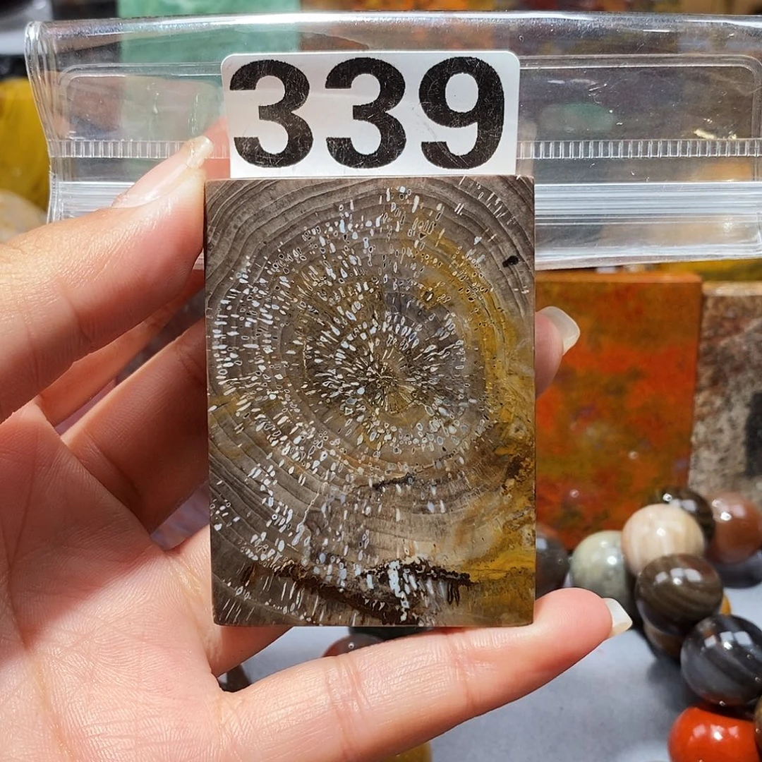 硅化玉未镶嵌天然北票硅化玉吊坠