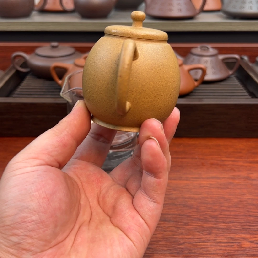 紫砂茶壶龙旦：120cc 段泥