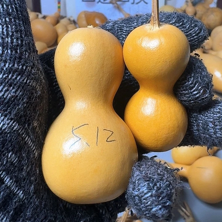 木质非金属文玩葫芦