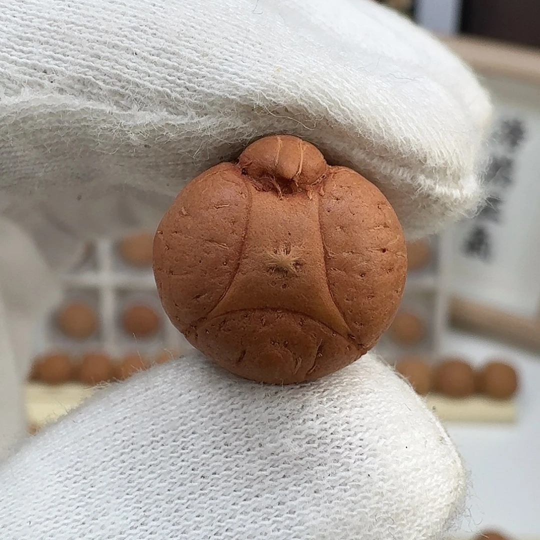 哈***哦麒麟眼菩提吊坠客定异形顶珠