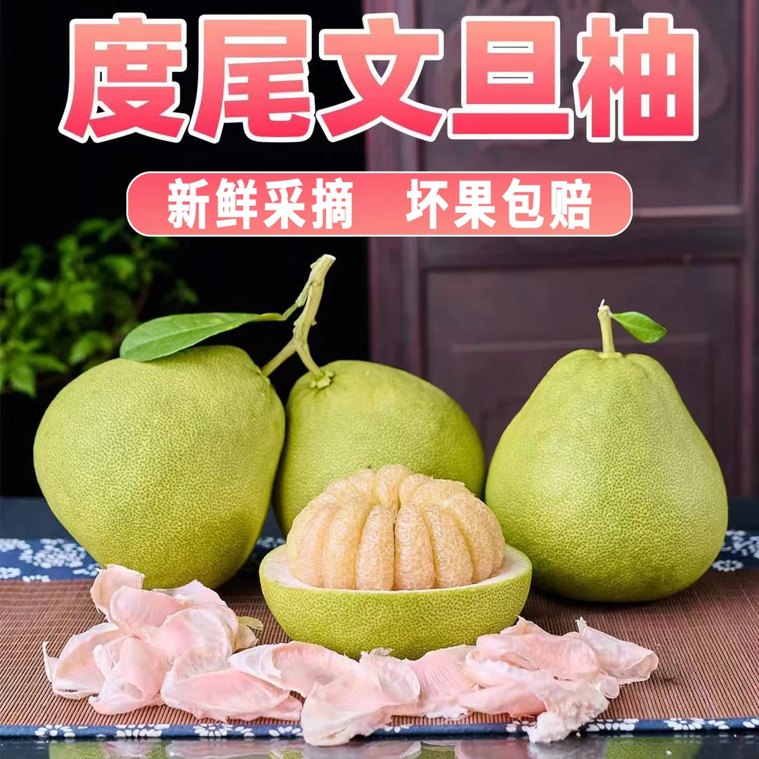 度尾文旦柚新鲜饱满爆汁当季水果孕妇老人小孩水果酸甜多汁蜜柚